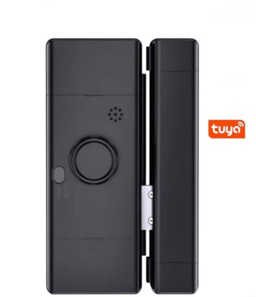 Smart Glass Door Lock Wifi