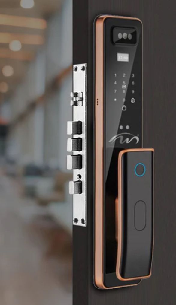 Face ID Smart Door Lock