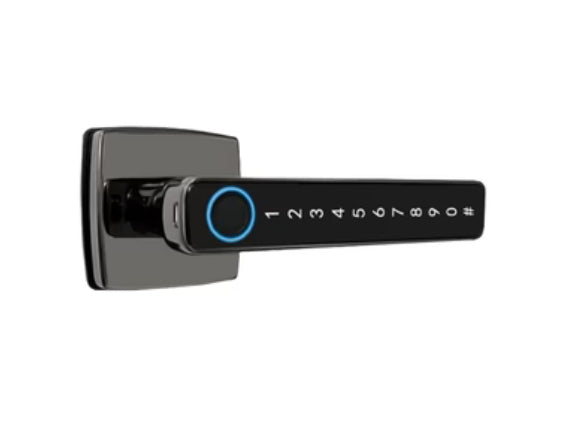 Smart Door Lock