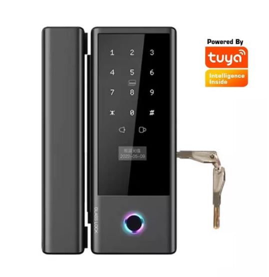 Smart Glass Door Lock Wifi